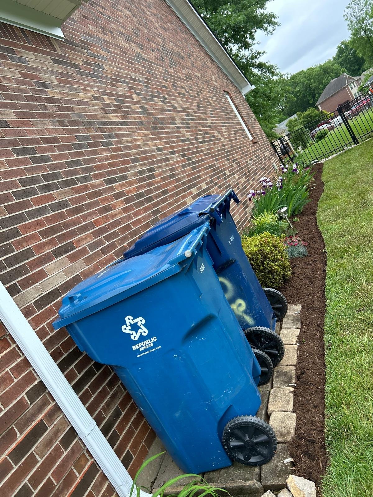 Julio tree service 22