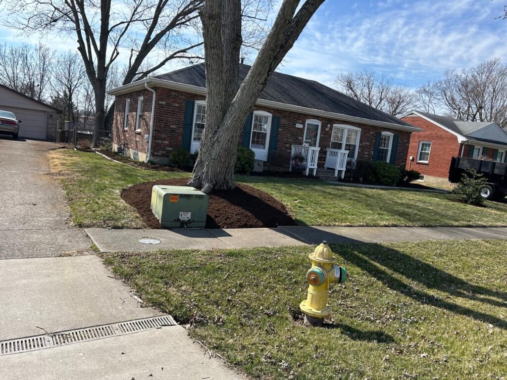 Julio tree service 37