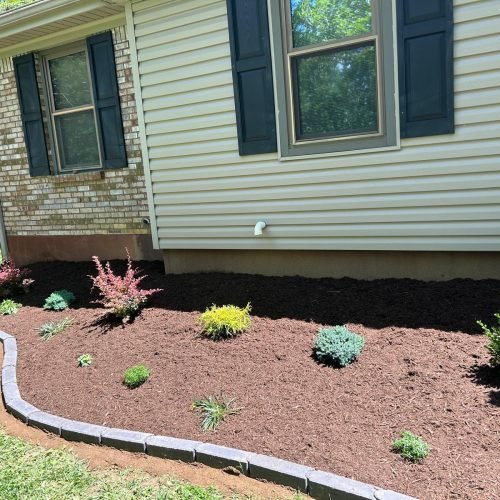 Julio tree service 18