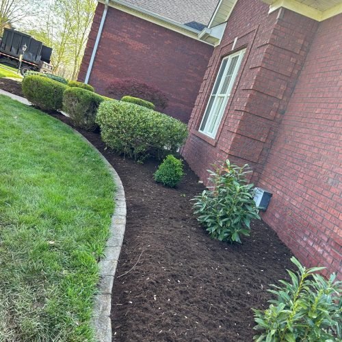 Julio tree service 34