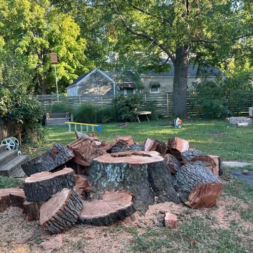 Julio tree service 42